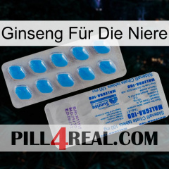 Ginseng Für Die Niere new15